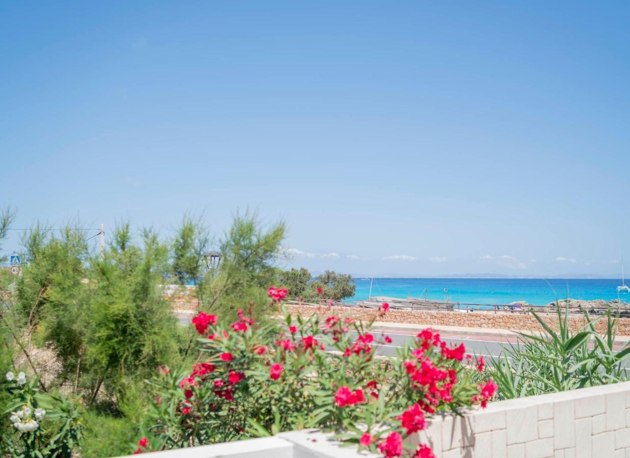 Cavall De Llevant - Formentera Break Es Calo  Exterior photo